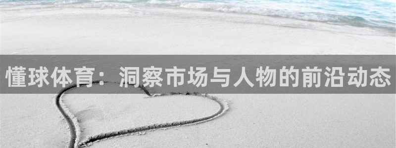 懂球体育：洞察市场与人物的前沿动态
