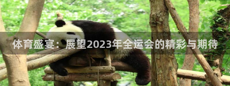 体育盛宴：展望2023年全运会的精彩与期待