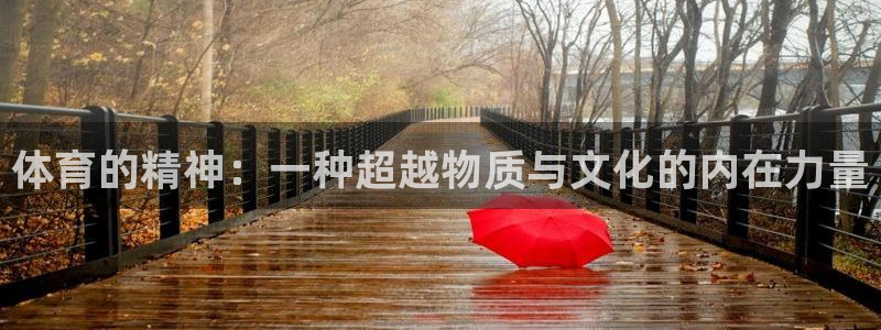 体育的精神：一种超越物质与文化的内在力量