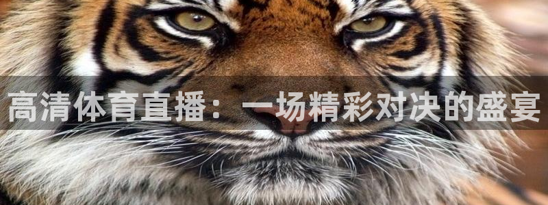 bsports官网 必一运动