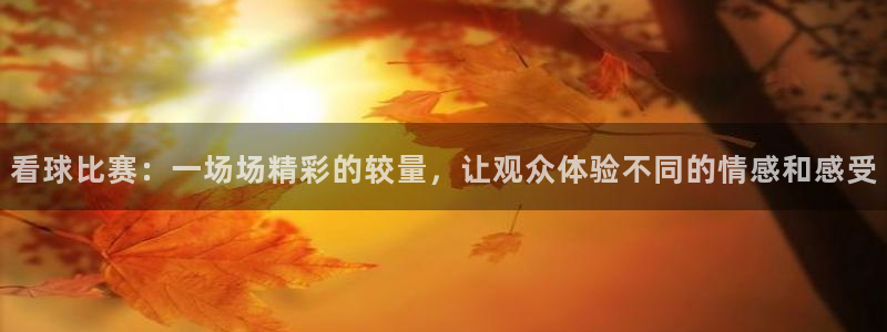 必一运动是什么软件：看球比赛：一场场精彩的较量，让观众体验不同的情感和感受