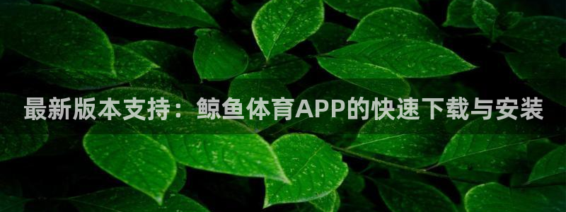 必一运动app怎么样：最新版本支持：鲸鱼体育APP的快速下载与安装