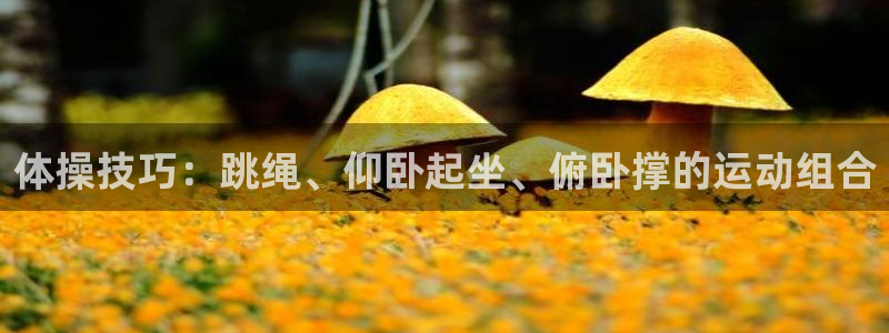 必一运动平台：体操技巧：跳绳、仰卧起坐、俯卧撑的运动组合