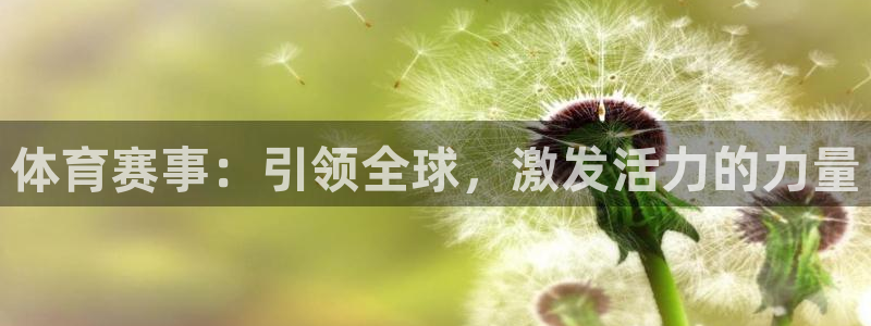 必一运动体育网页：体育赛事：引领全球，激发活力的力量